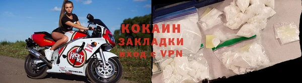 дживик Богородск