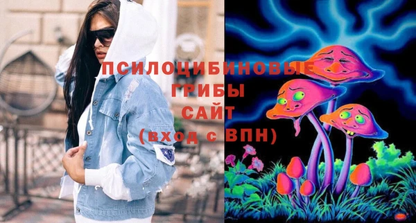 соль курить ск Верея