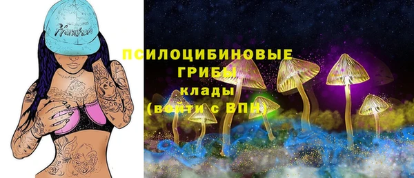 шишки Верхнеуральск