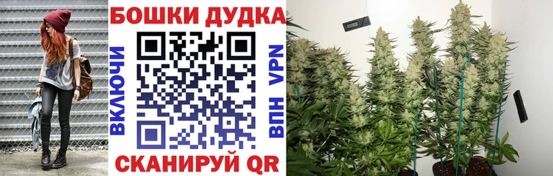 Конопля планчик  Купить  Каменск-Шахтинский 